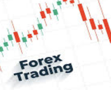 Forex Email